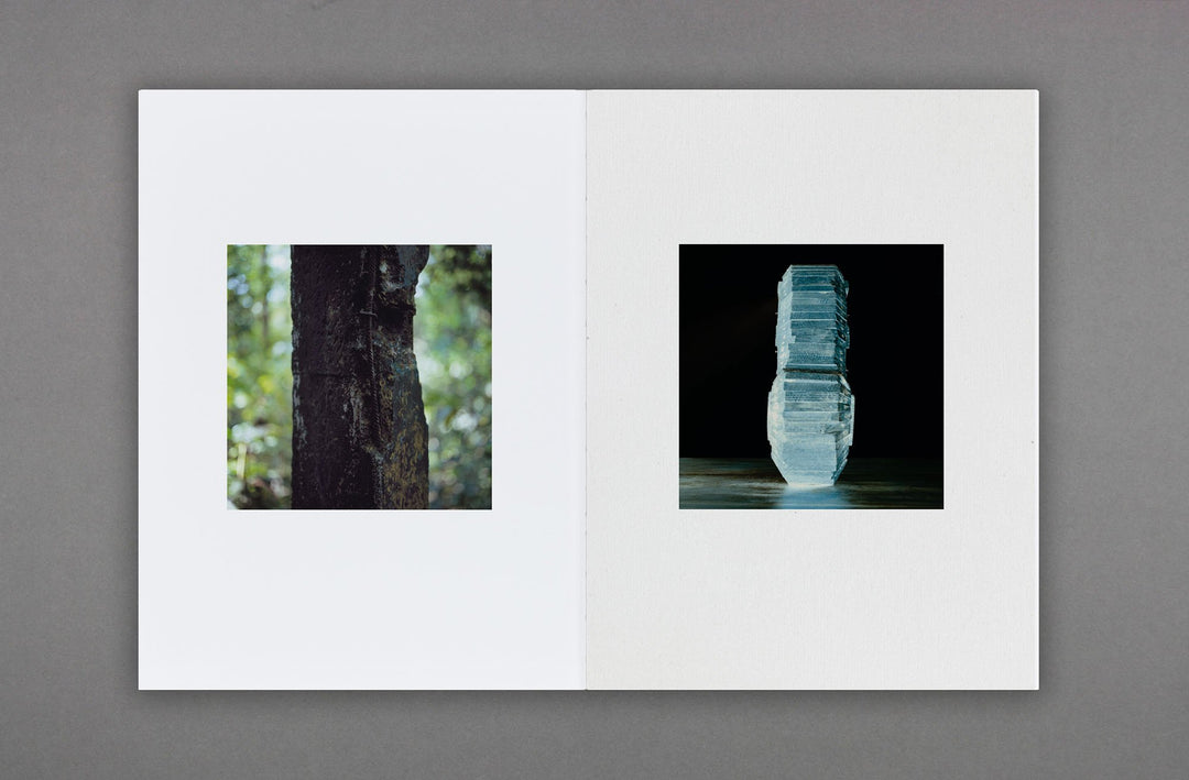 Stuart Whipps - White Ashes Fell - Loose Joints Publishing