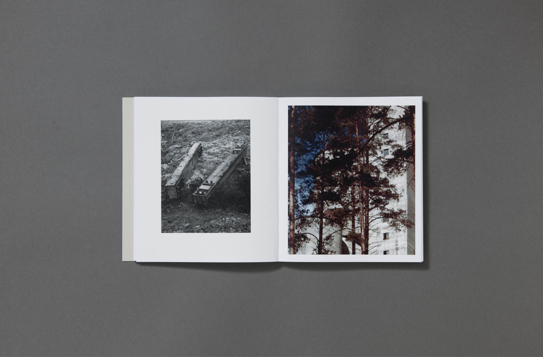 Felicia Honkasalo - Grey Cobalt - Loose Joints Publishing