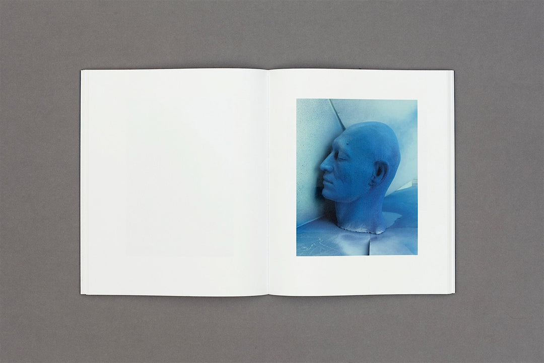 Marton Perlaki - Elemer - Loose Joints Publishing
