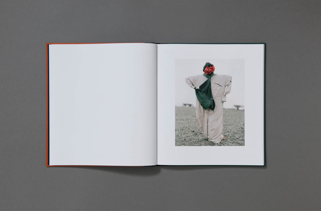 Robin Friend - Bastard Countryside - Loose Joints Publishing