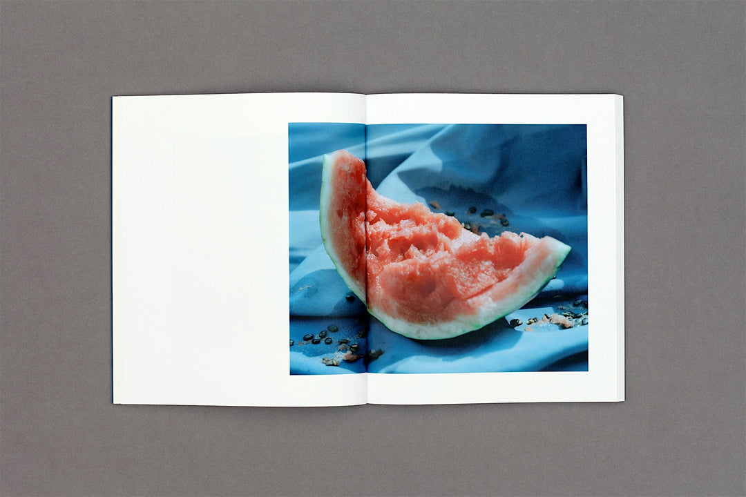 Marton Perlaki - Elemer - Loose Joints Publishing