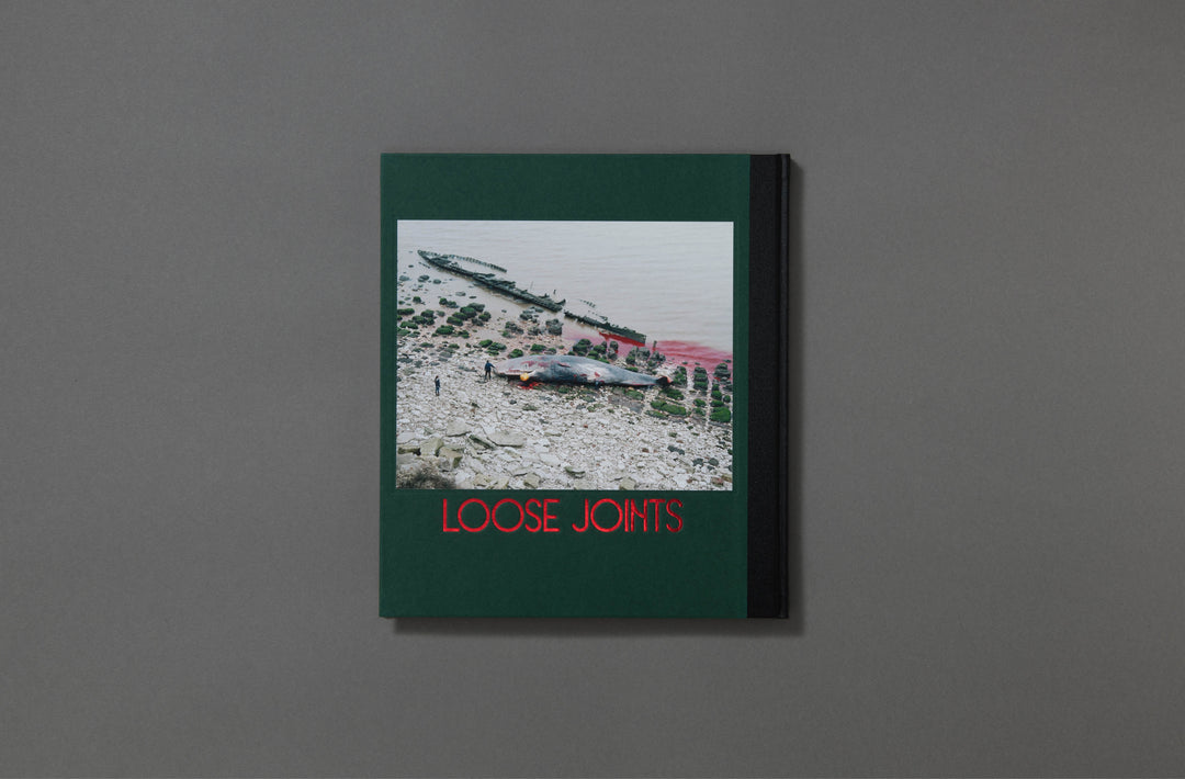 Robin Friend - Bastard Countryside - Loose Joints Publishing