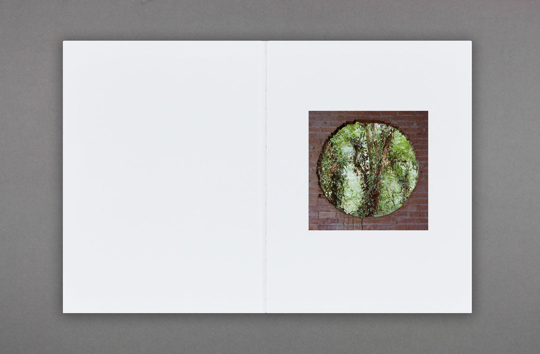 Stuart Whipps - White Ashes Fell - Loose Joints Publishing