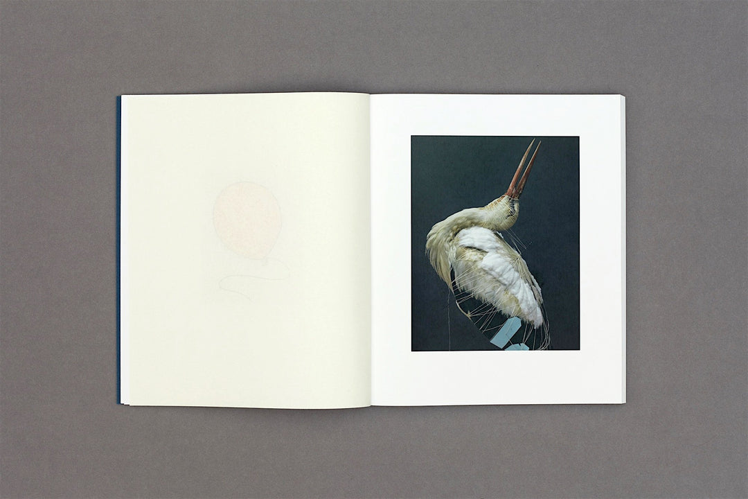 Marton Perlaki - Elemer - Loose Joints Publishing