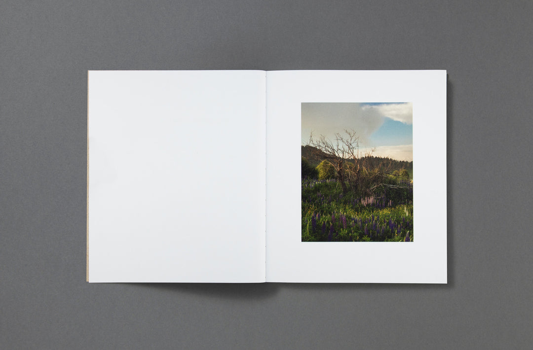 Bharat Sikka - Where the flowers still grow