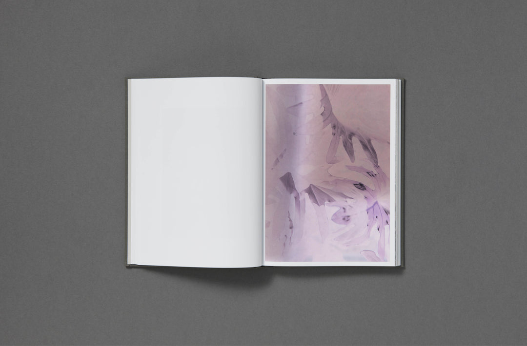 Daniel Shea - Blisner, IL Special Edition