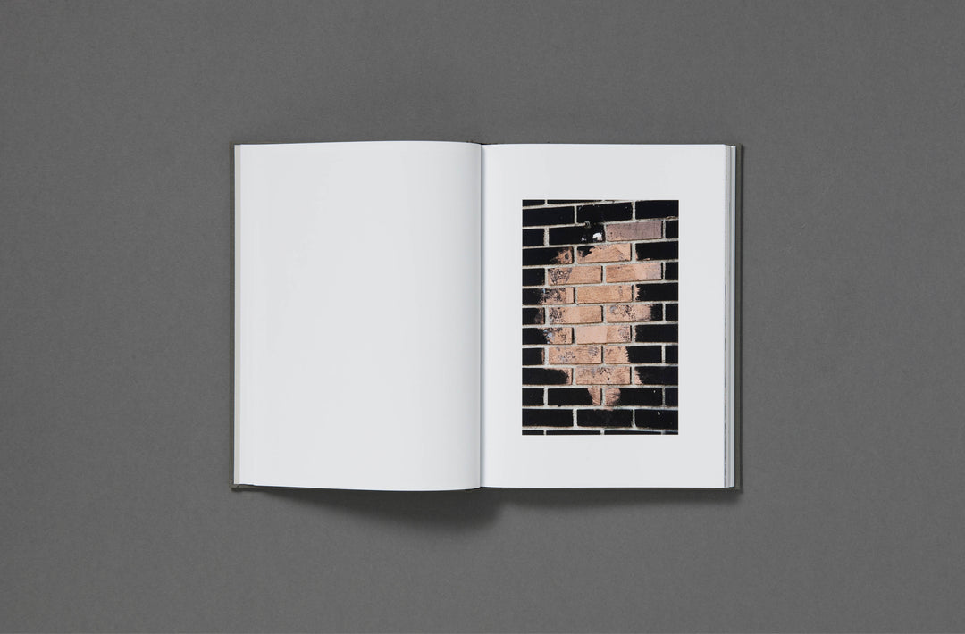 Daniel Shea - Blisner, IL Special Edition