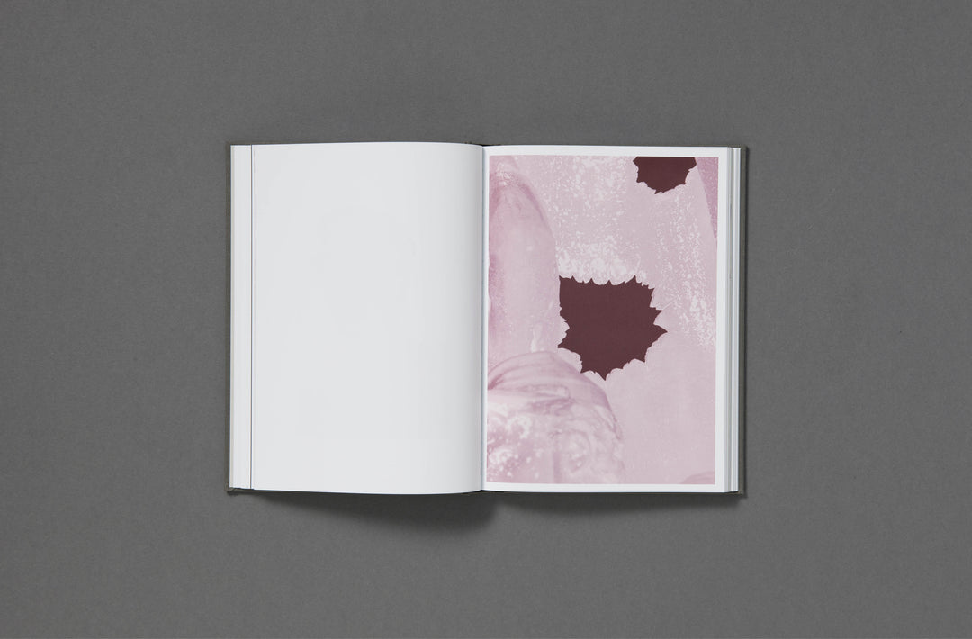 Daniel Shea - Blisner, IL Special Edition