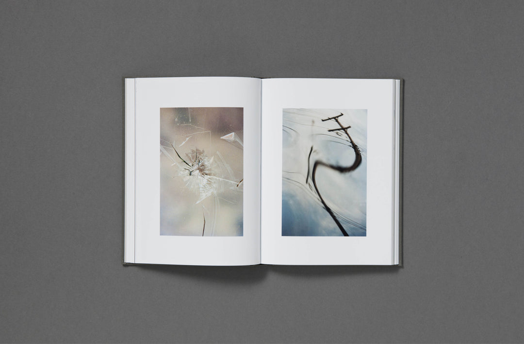 Daniel Shea - Blisner, IL Special Edition