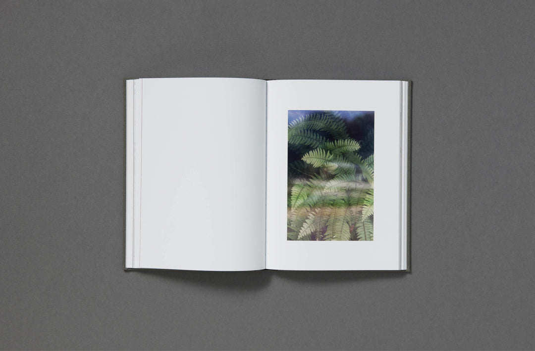Daniel Shea - Blisner, IL Special Edition