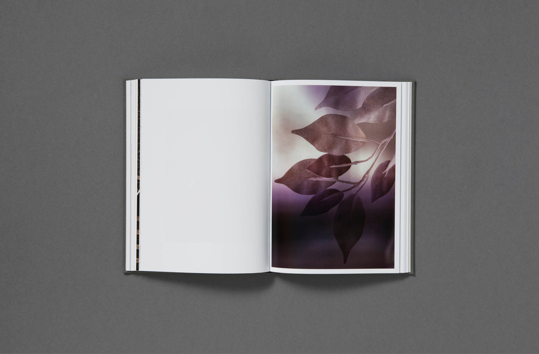 Daniel Shea - Blisner, IL Special Edition