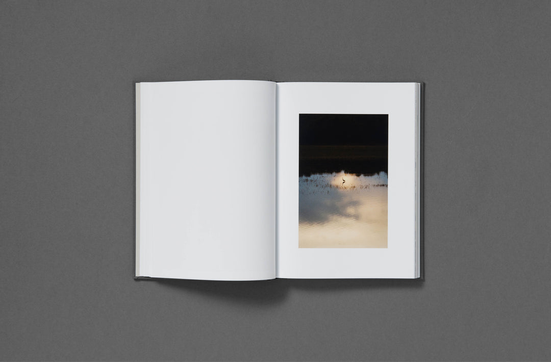 Daniel Shea - Blisner, IL Special Edition