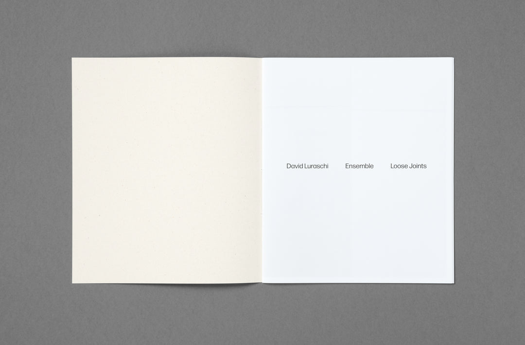David Luraschi – Ensemble