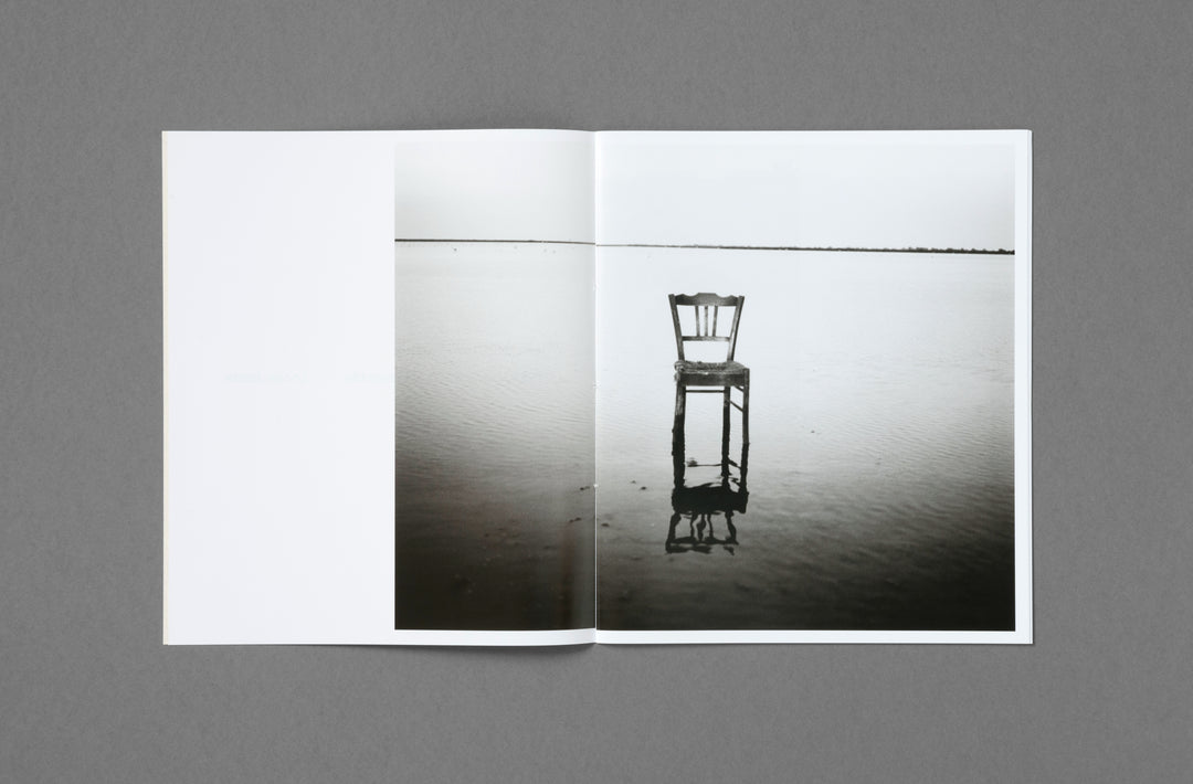 David Luraschi – Ensemble