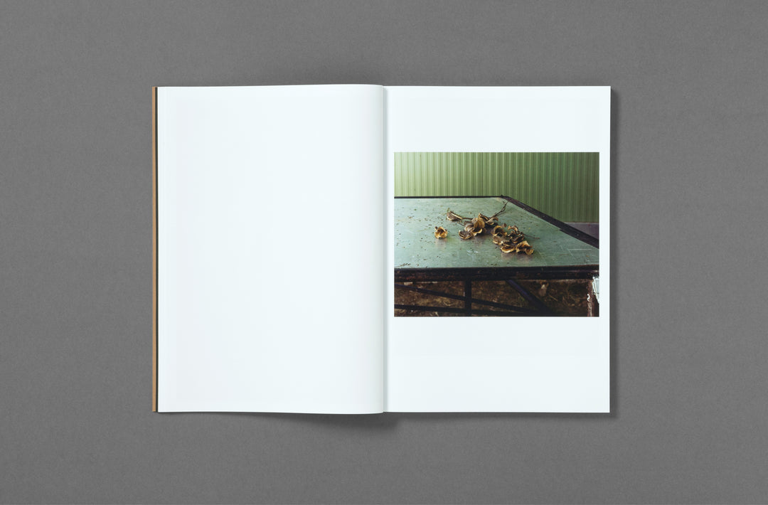 Felipe Romero Beltrán – Dialect photobook published by Loose Joints