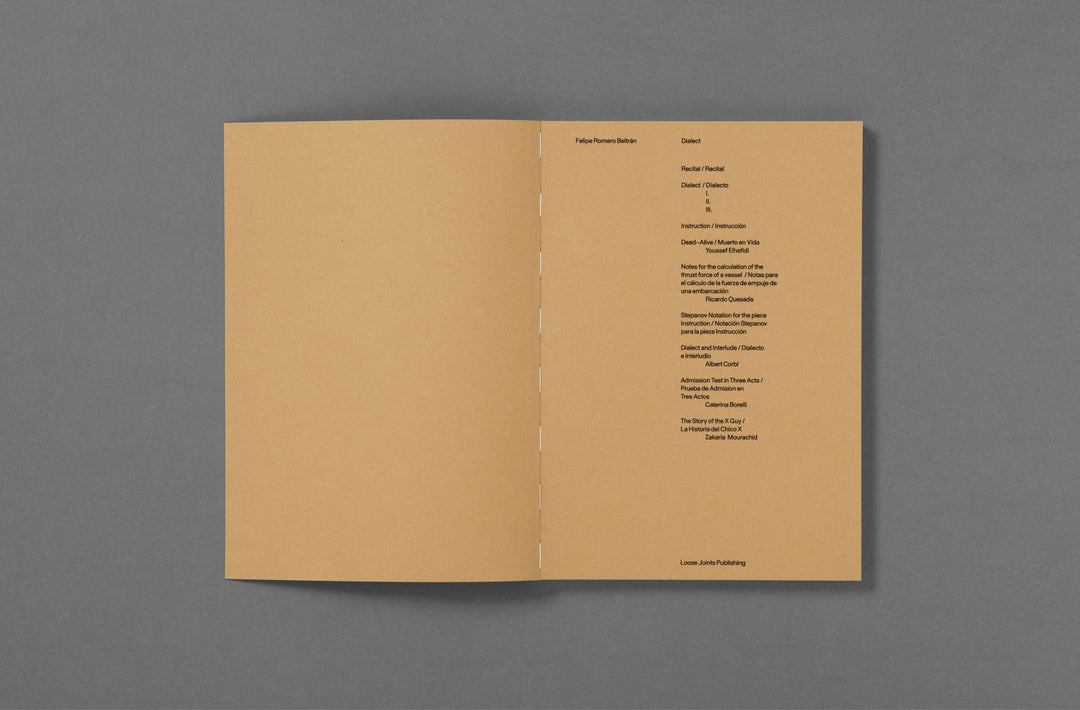 Felipe Romero Beltrán – Dialect photobook published by Loose Joints