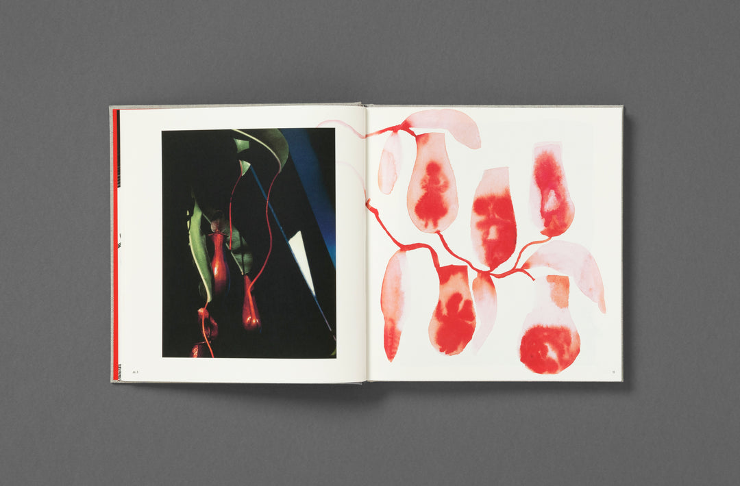 Jack Davison – Photographs Annotated Artists Edition