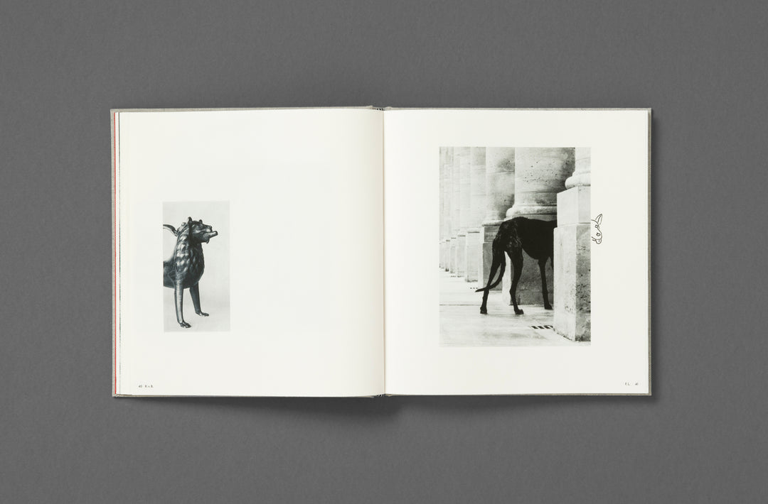 Jack Davison – Photographs Annotated Artists Edition