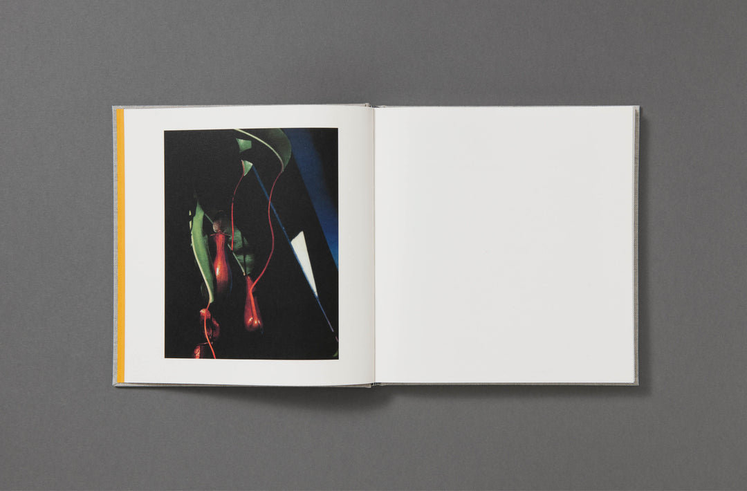 Jack Davison - Photographs - Loose Joints Publishing
