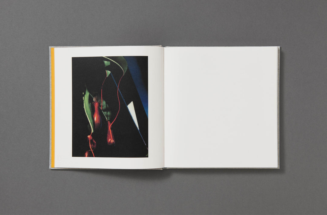 Jack Davison - Photographs - Loose Joints Publishing