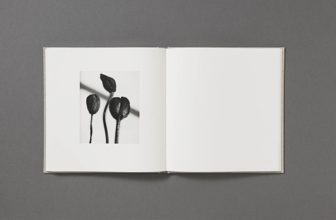 Jack Davison - Photographs - Loose Joints Publishing