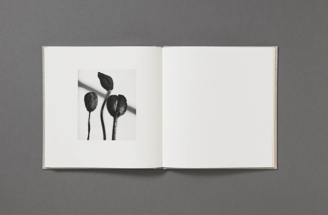 Jack Davison - Photographs - Loose Joints Publishing