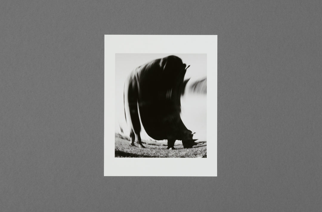 Jack Davison – Ol Pejeta Print Edition