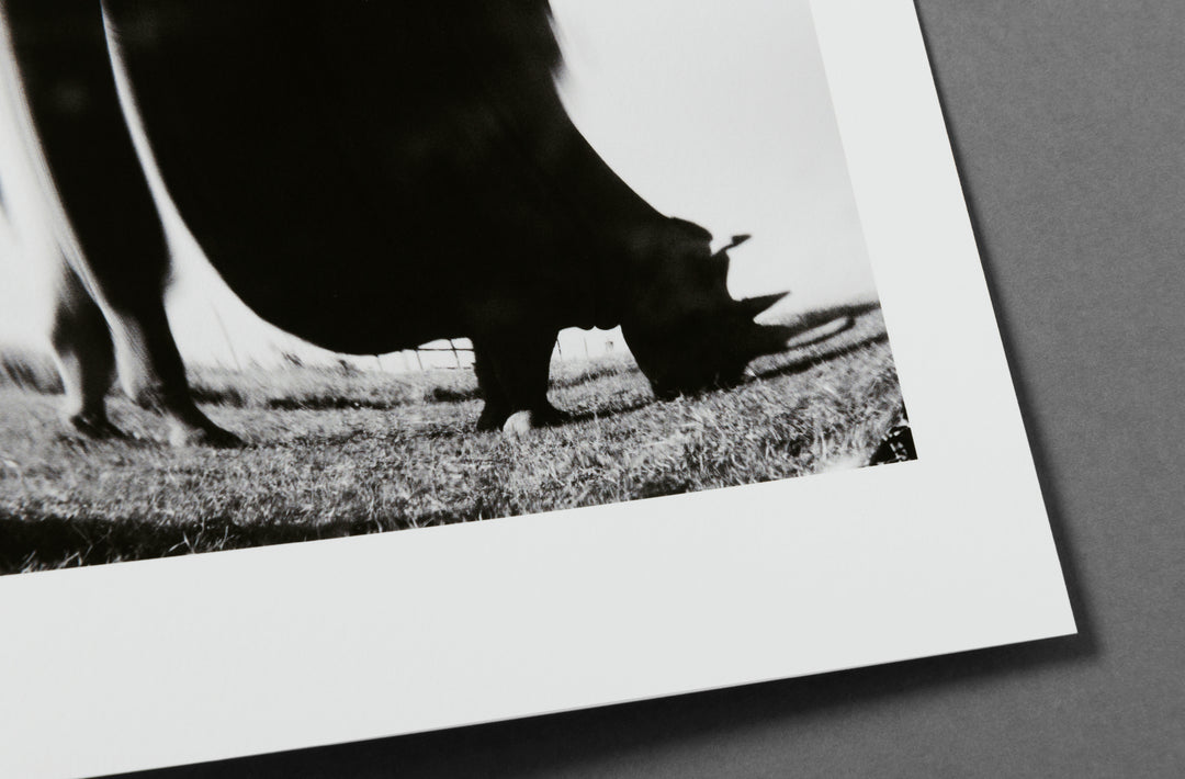Jack Davison – Ol Pejeta Print Edition