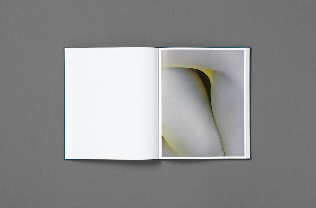 Jet Swan – Material