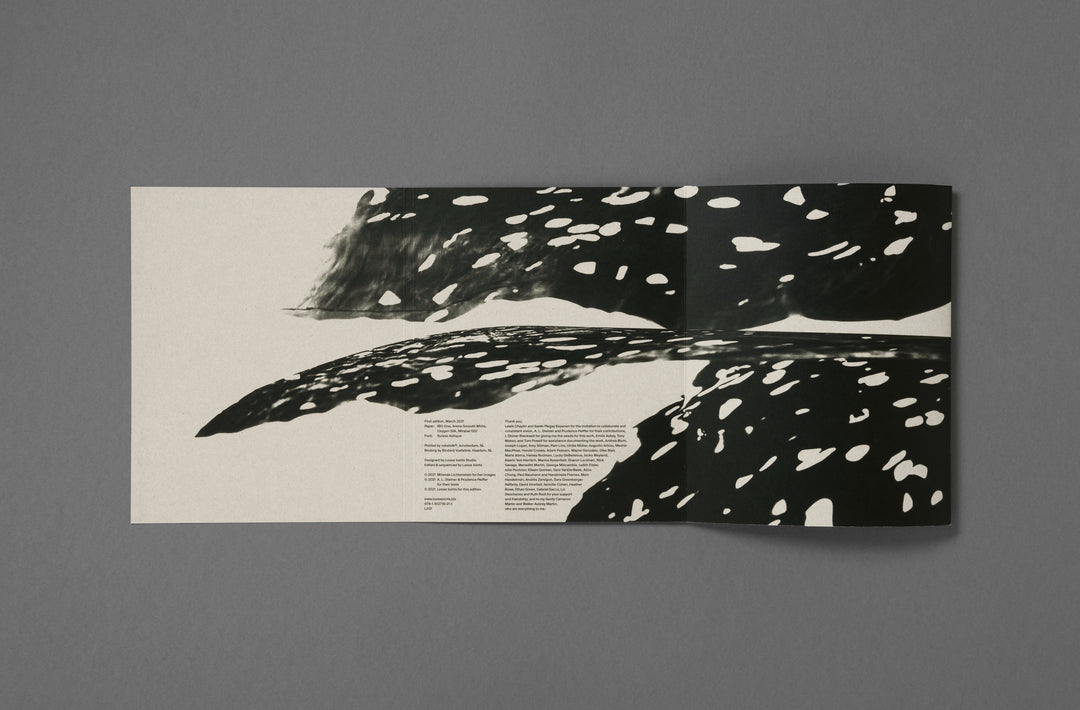 Miranda Lichtenstein – Recorder