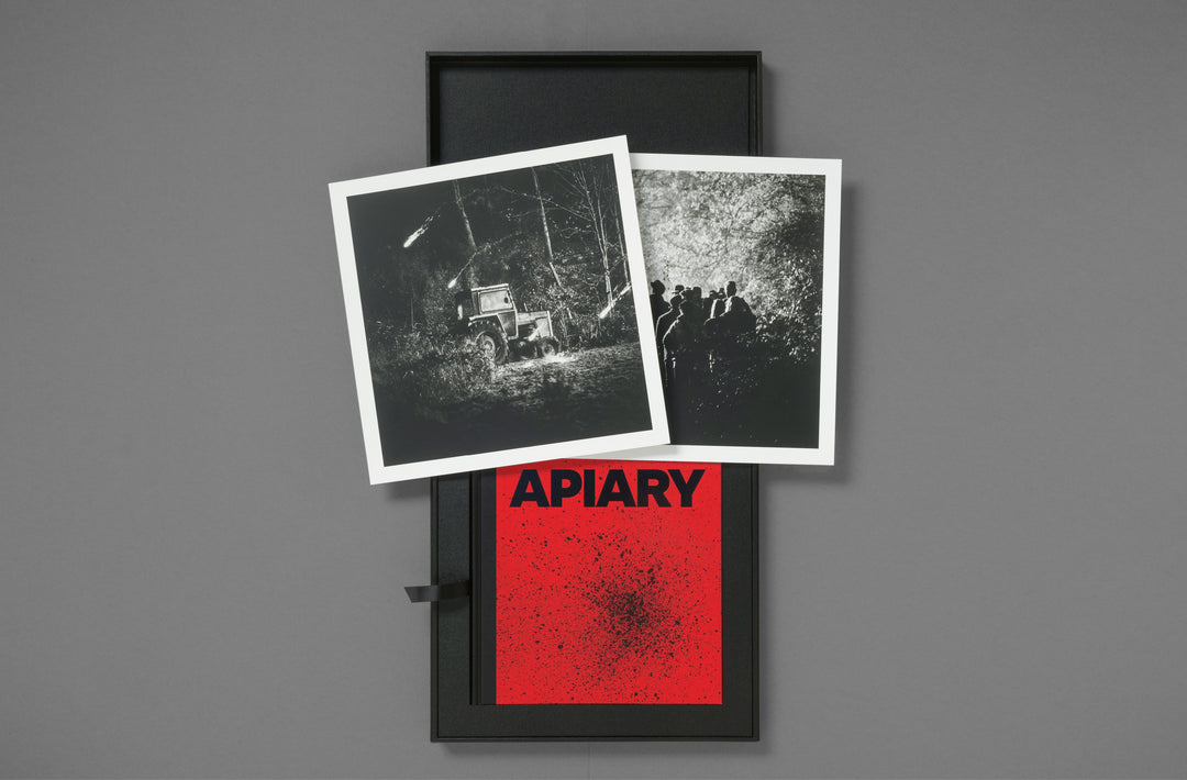Robin Friend – Apiary Special Edition