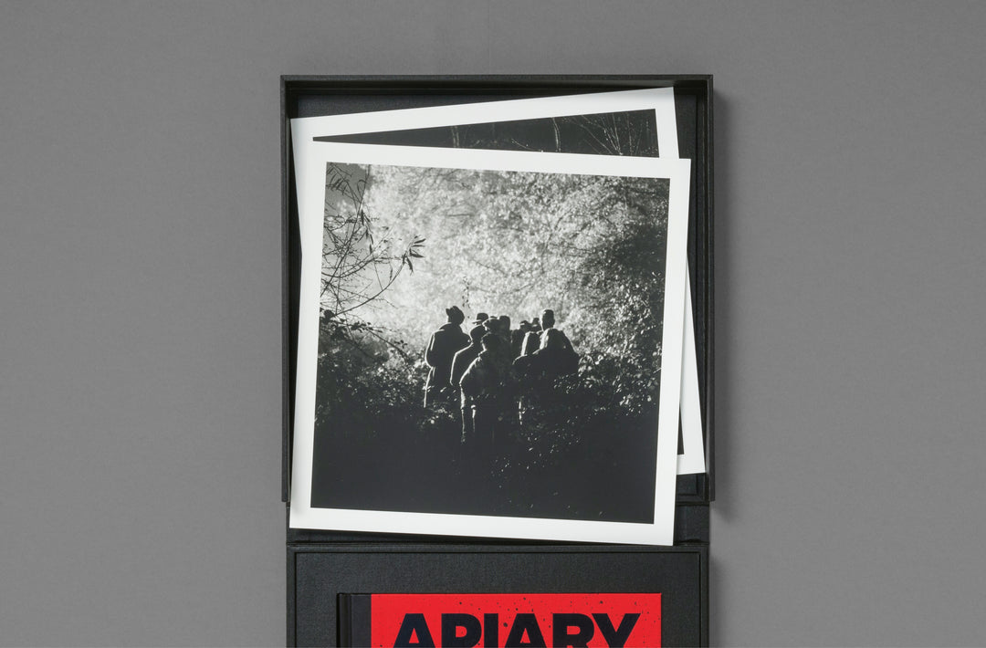 Robin Friend – Apiary Special Edition