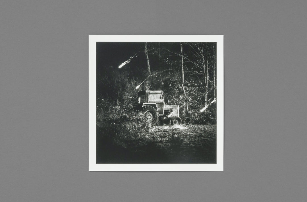 Robin Friend – Apiary Special Edition