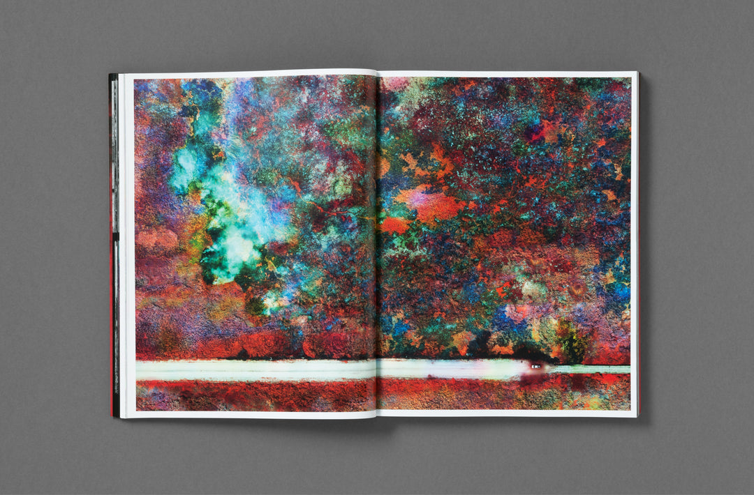 Richard Mosse – Broken Spectre