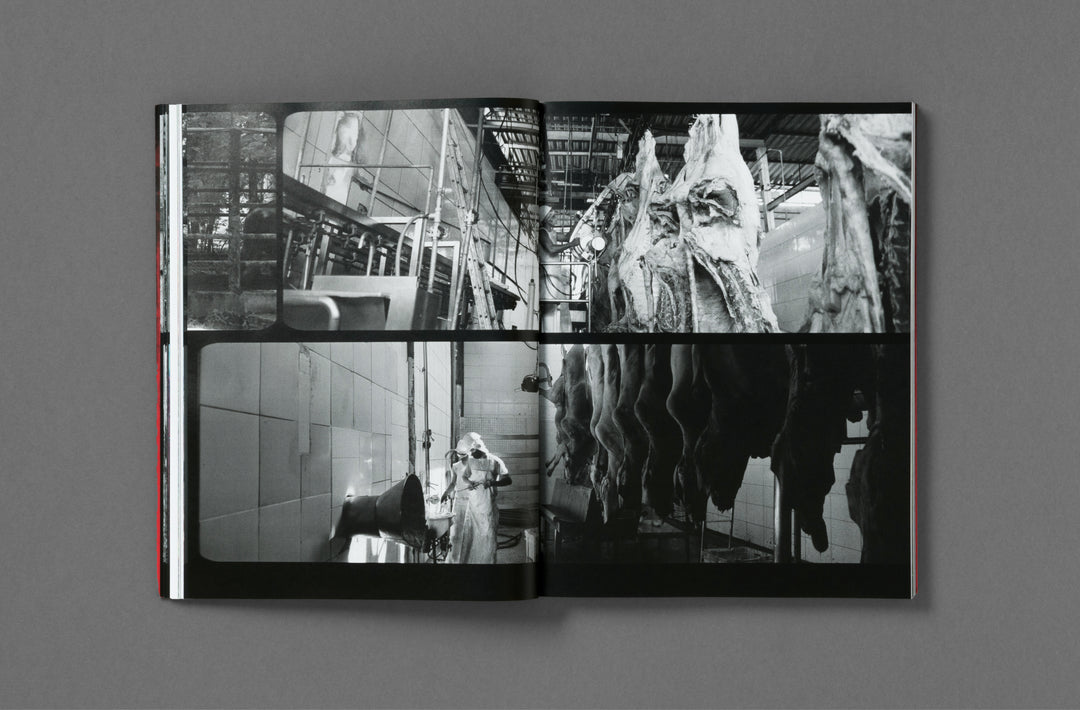 Richard Mosse – Broken Spectre