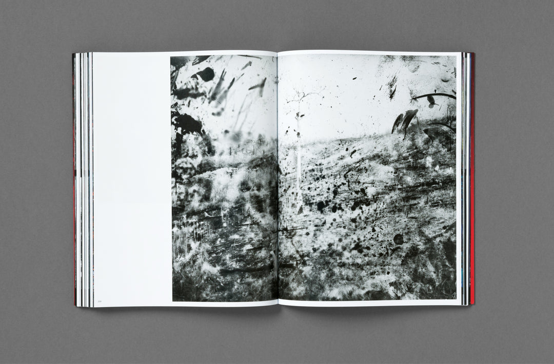Richard Mosse – Broken Spectre