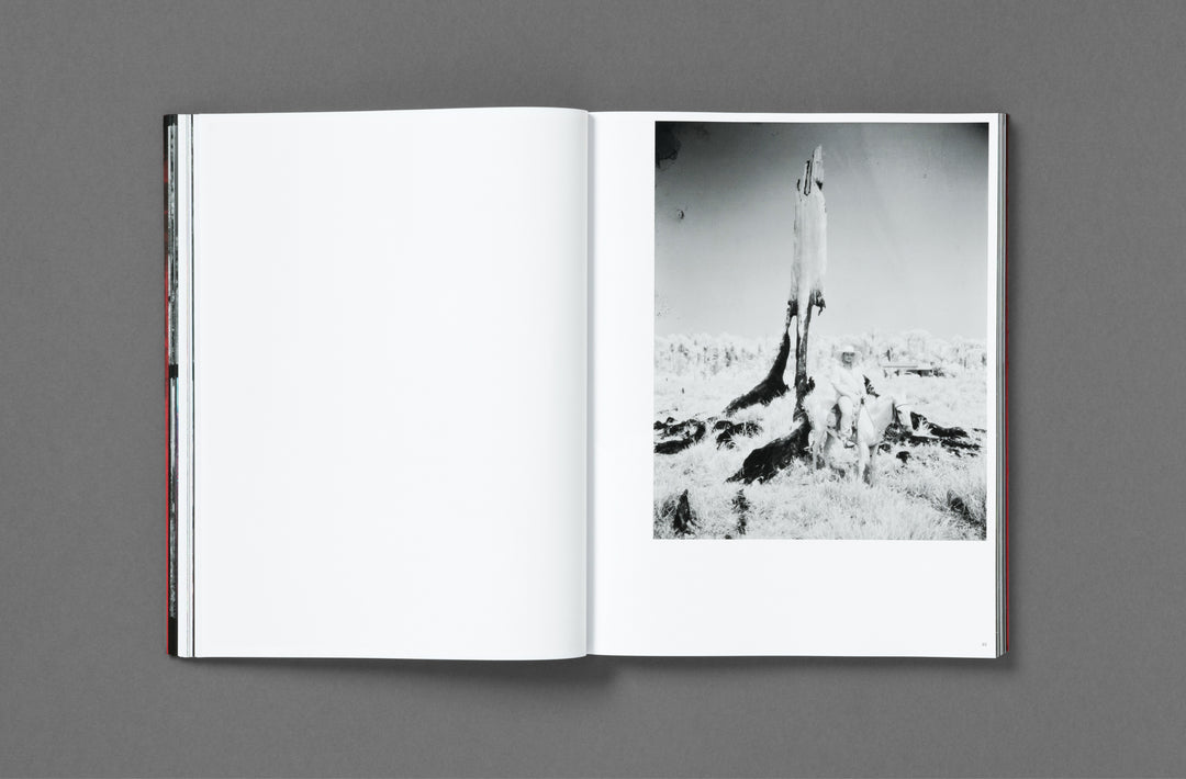Richard Mosse – Broken Spectre