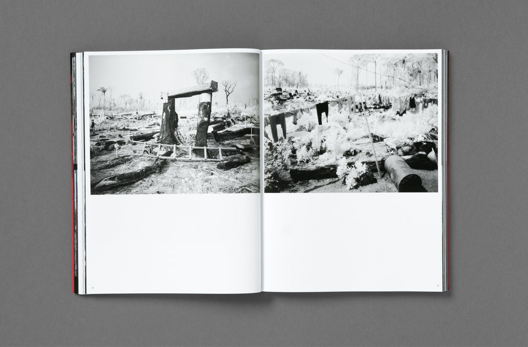 Richard Mosse – Broken Spectre