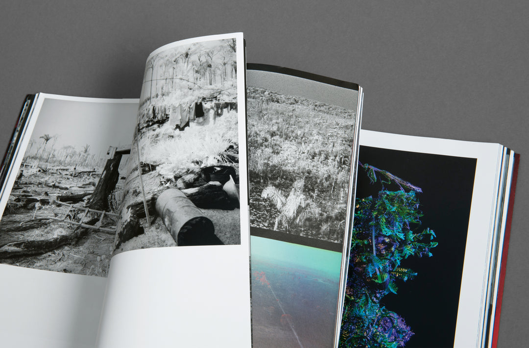 Richard Mosse – Broken Spectre