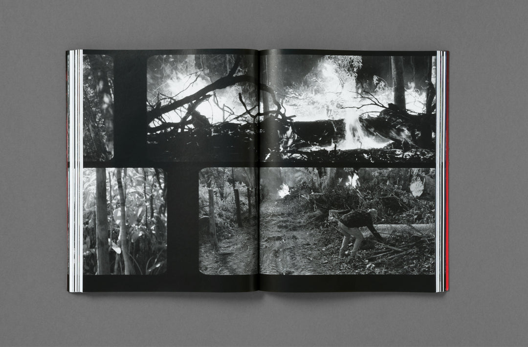 Richard Mosse – Broken Spectre