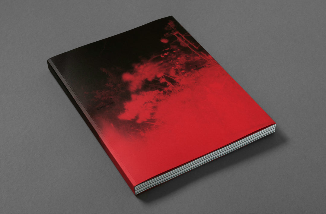 Richard Mosse – Broken Spectre
