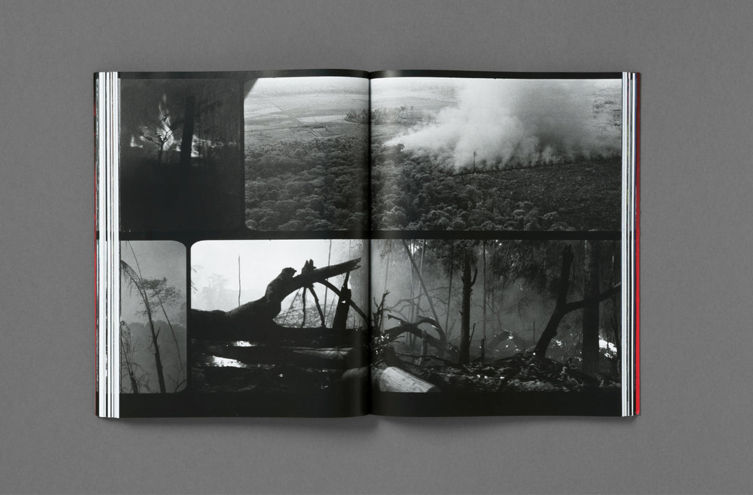 Richard Mosse – Broken Spectre