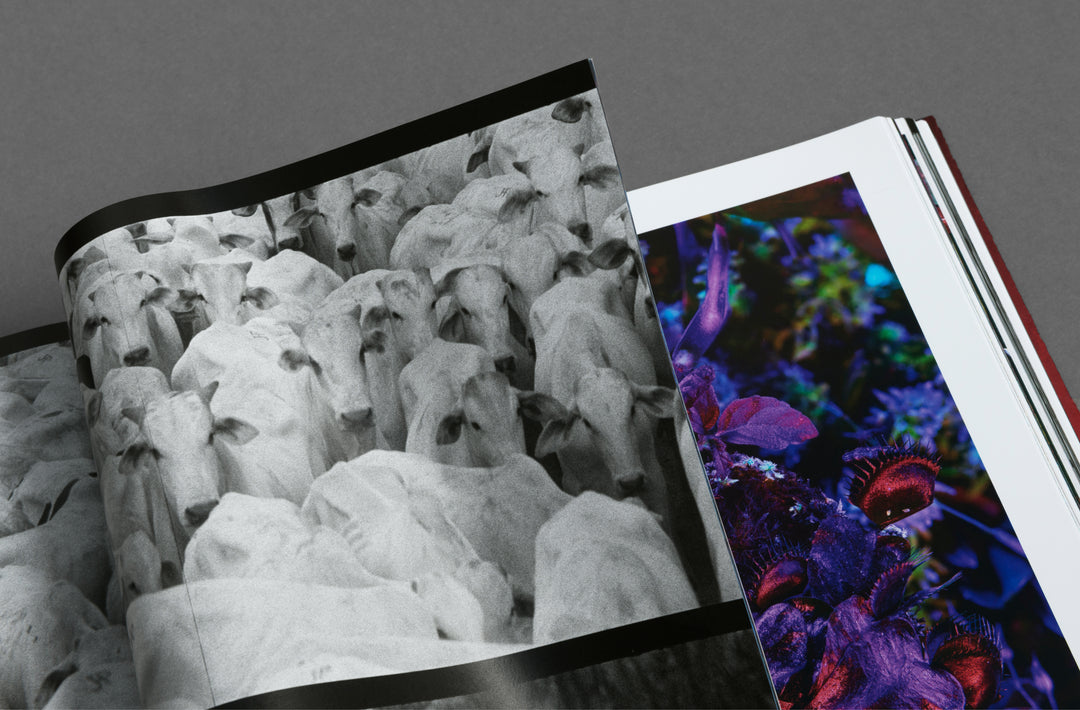 Richard Mosse – Broken Spectre