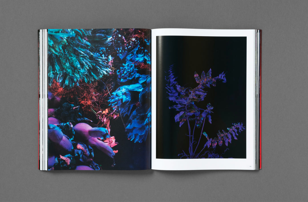 Richard Mosse – Broken Spectre