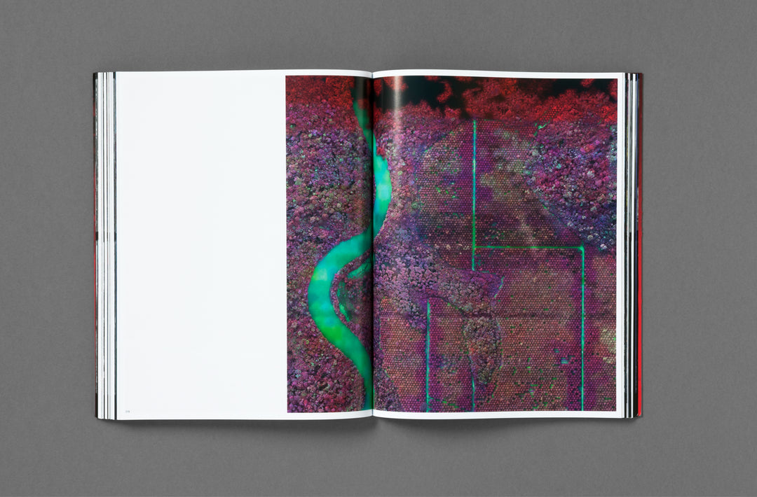 Richard Mosse – Broken Spectre