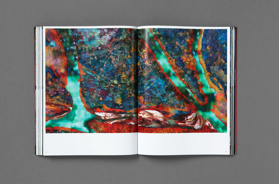 Richard Mosse – Broken Spectre