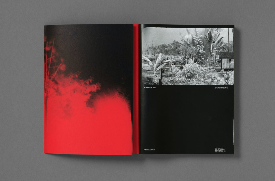 Richard Mosse – Broken Spectre