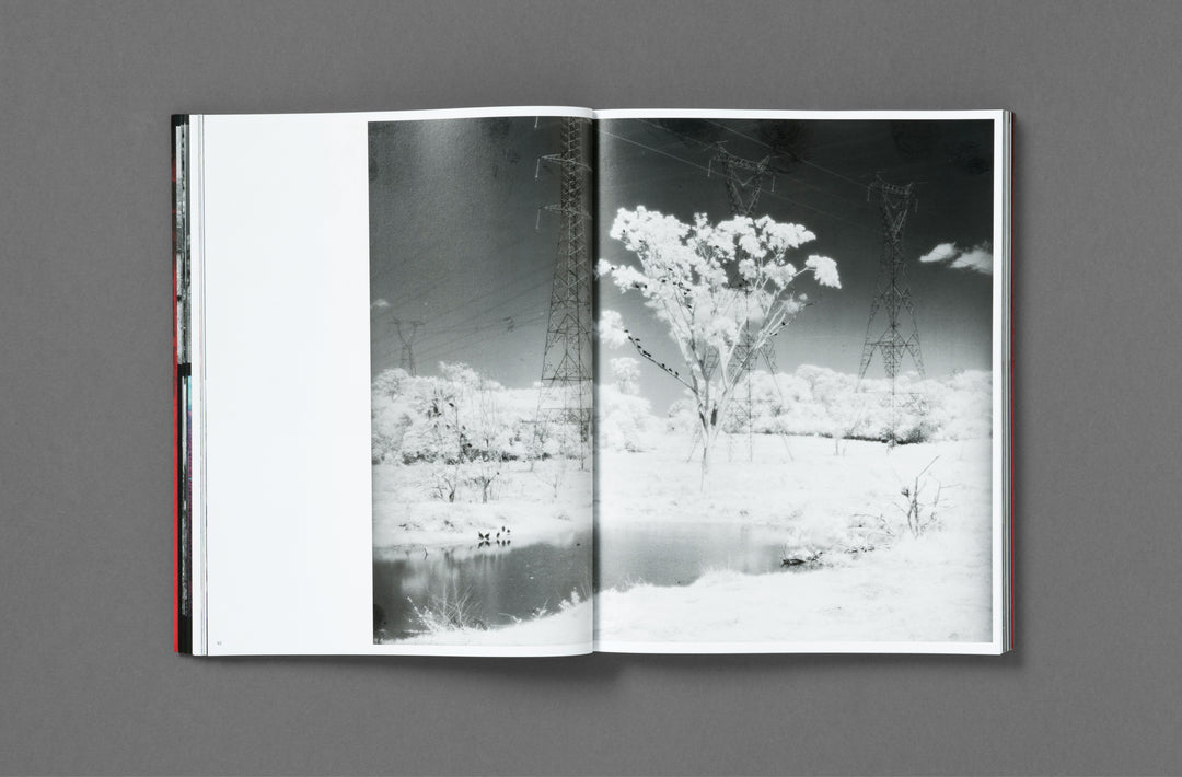 Richard Mosse – Broken Spectre