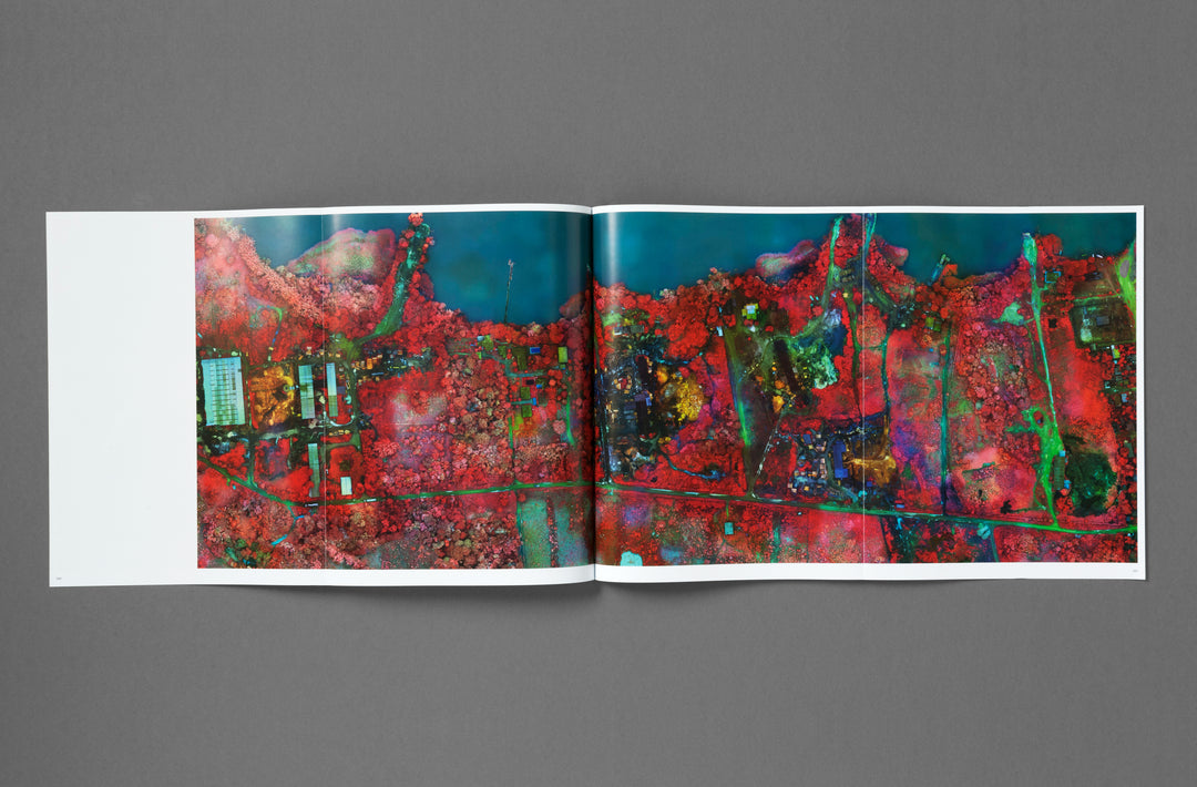 Richard Mosse – Broken Spectre