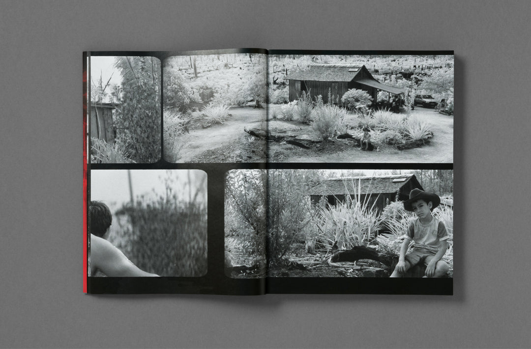 Richard Mosse – Broken Spectre